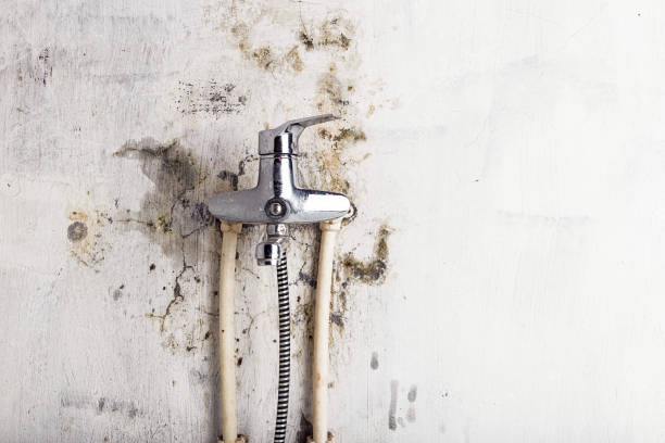 Adel, GA Mold Removal Company