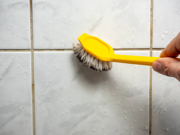 Best Home Mold Removal  in Adel, GA