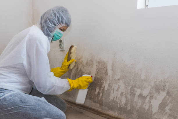 Best Crawl Space Mold Removal  in Adel, GA