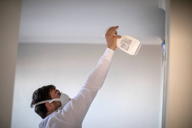 Best Local Mold Removal Service  in Adel, GA