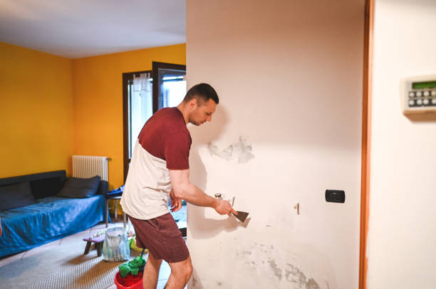 Best Mold Removal and Inspection  in Adel, GA